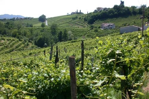 B&B Alla Pergola 瓦尔多比亚德内 外观 照片